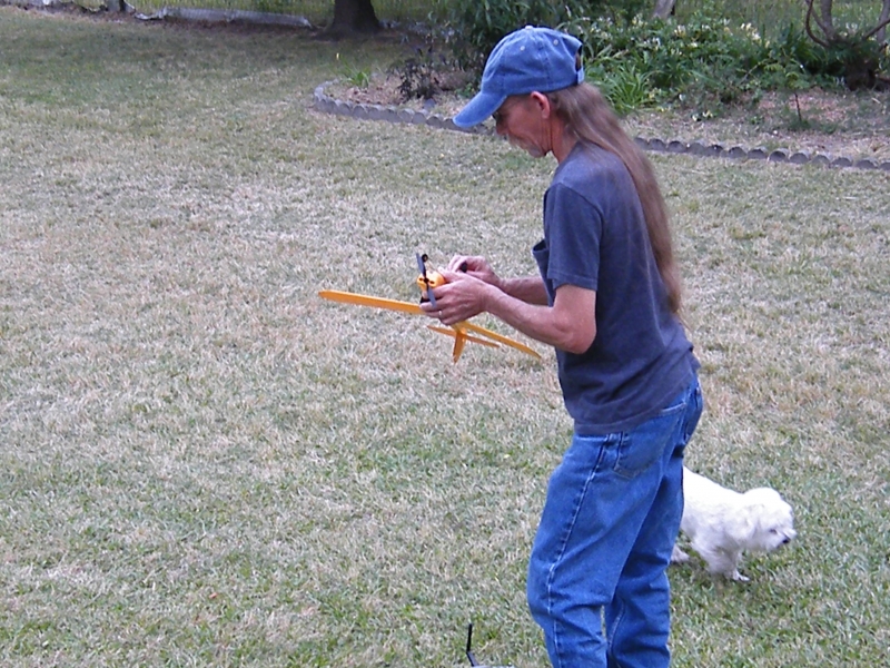 Flying Champ in back yard